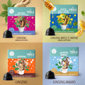 Kit 64 capsule Dolce Gusto®* - Mix Ginseng